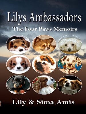cover image of Lilys Ambassadors